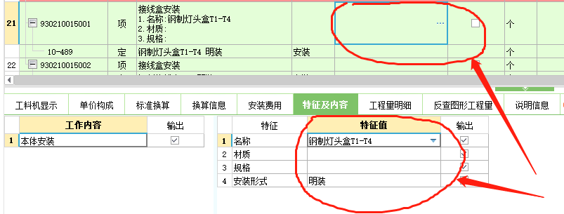 项目特征