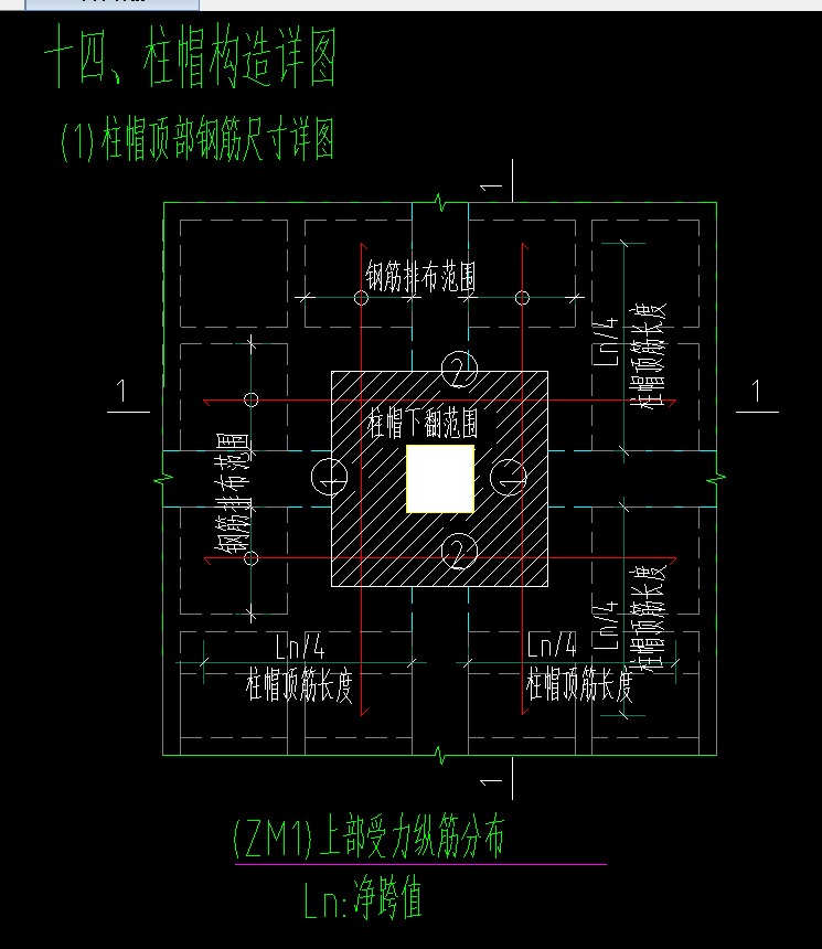 主肋梁