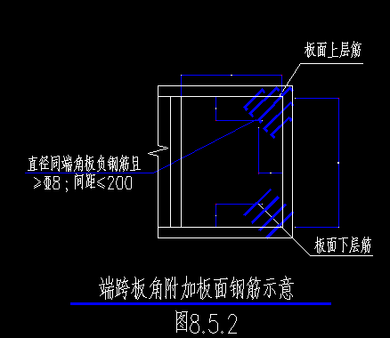 放射筋