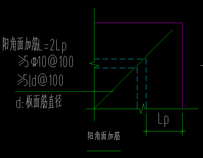 放射筋