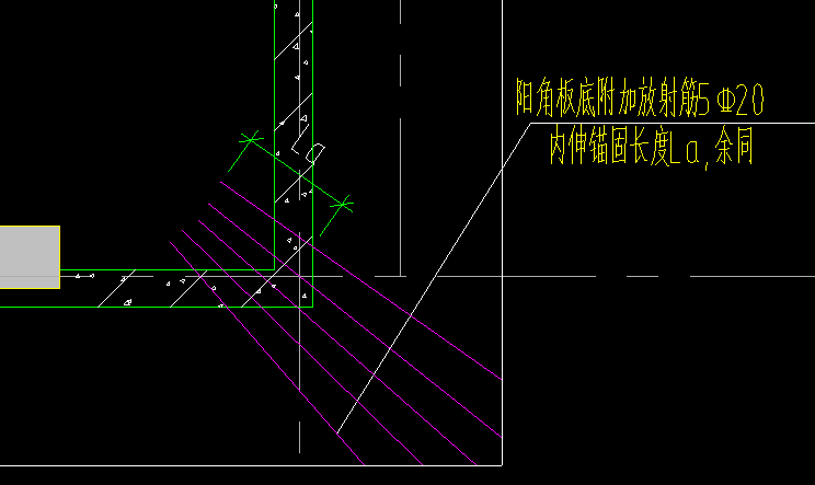 放射筋