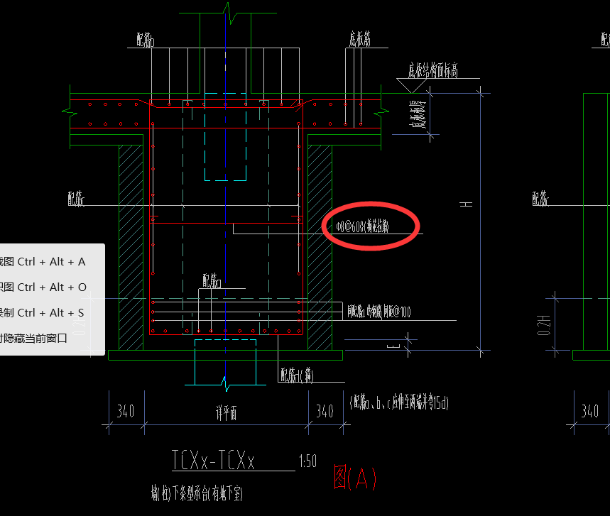 根数