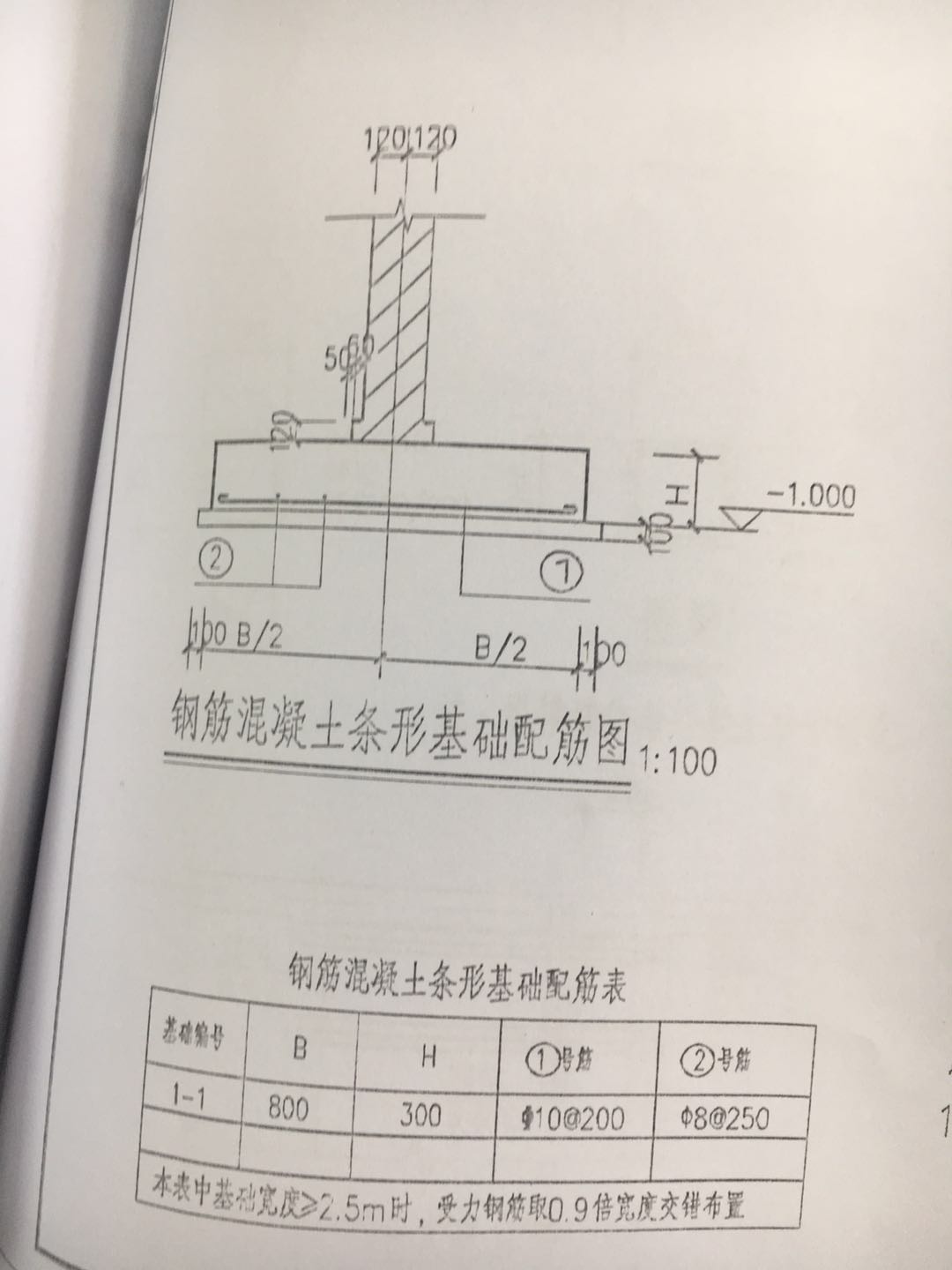 条基