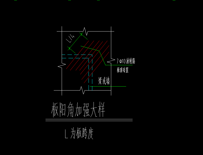 放射筋