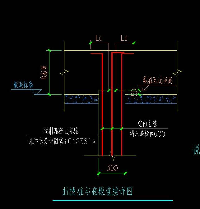 配筋图