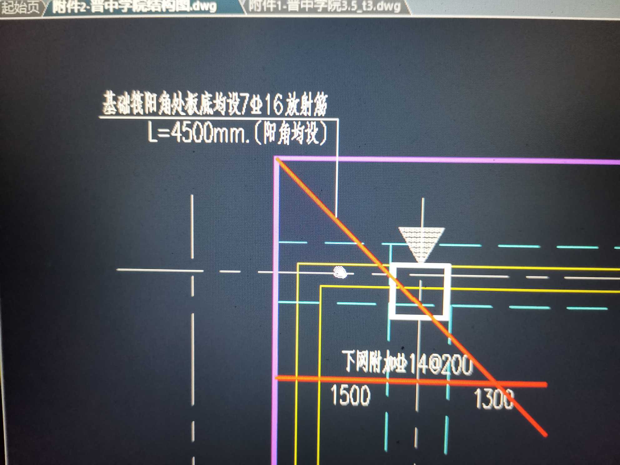 放射筋