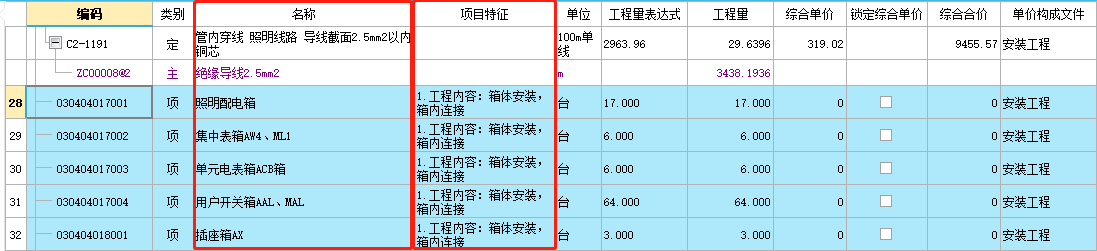 项目特征