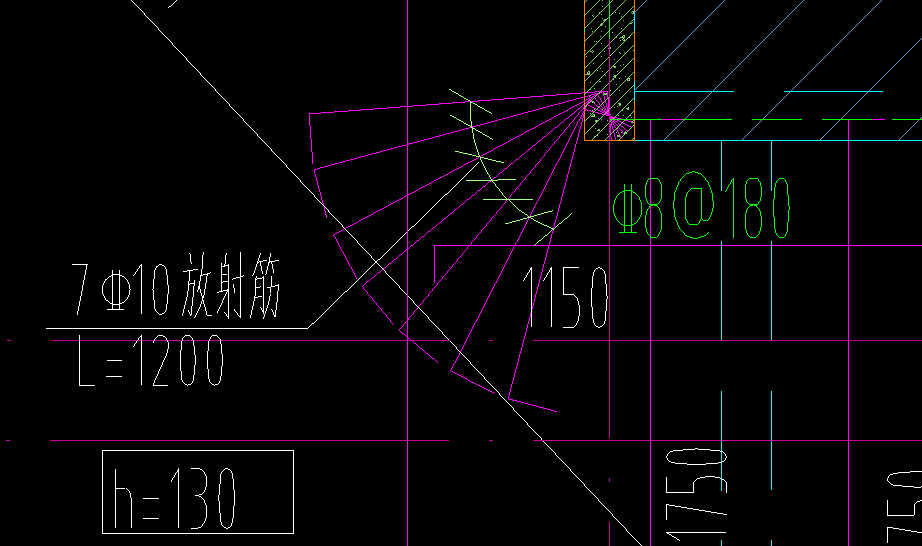 放射筋