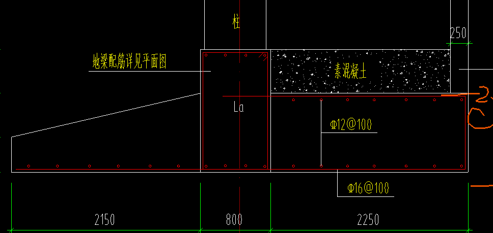 条基