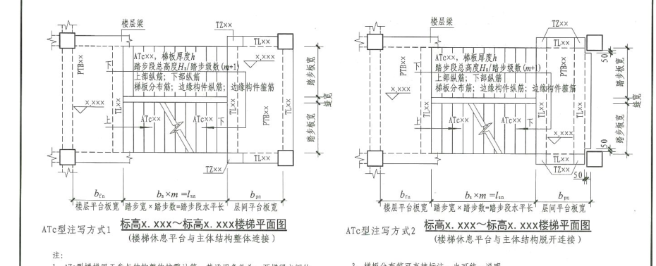 分布筋