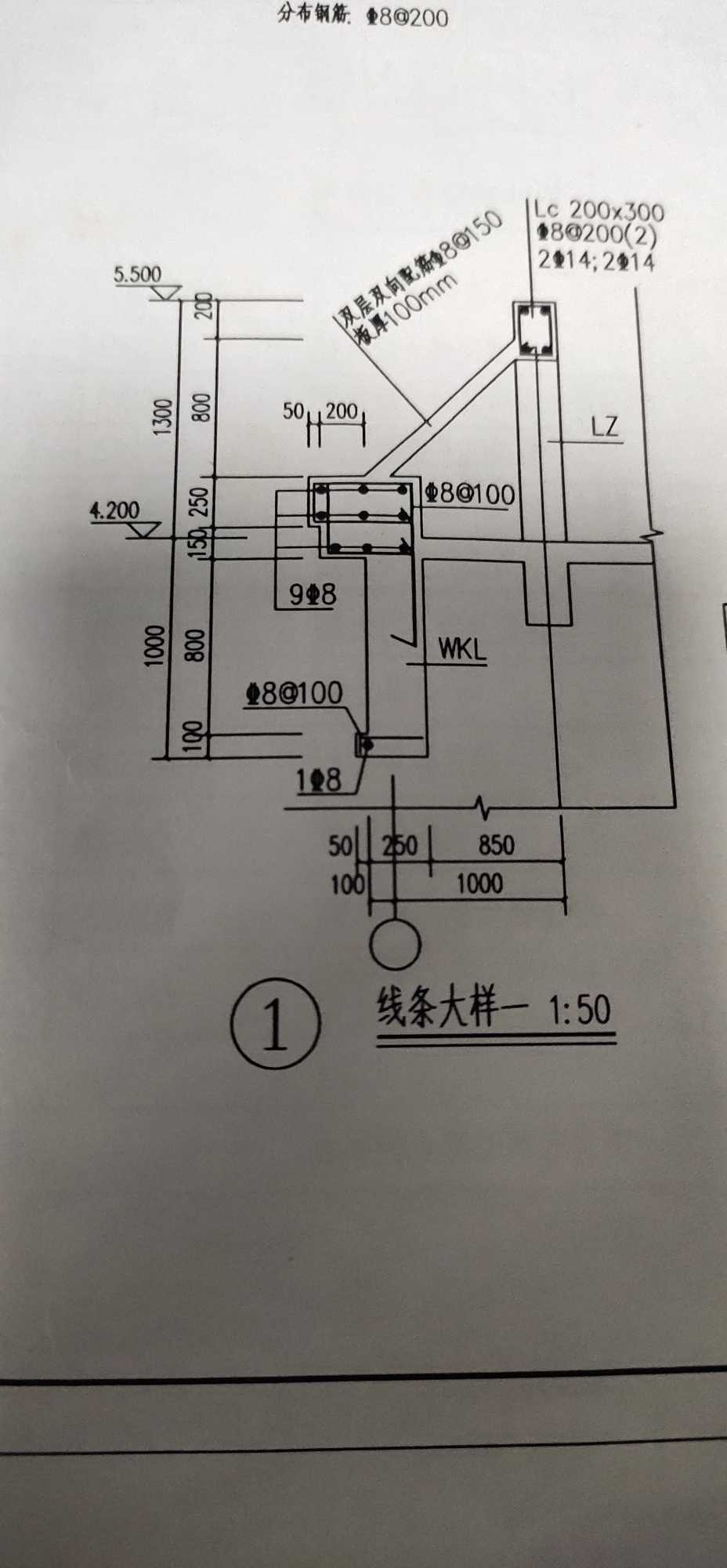 線條