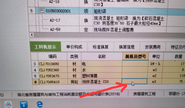 项目特征