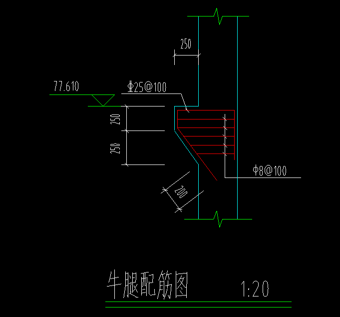 牛腿