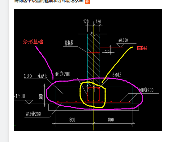 分布筋怎么画