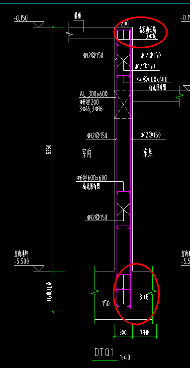 通长筋信息