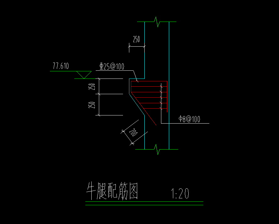 牛腿