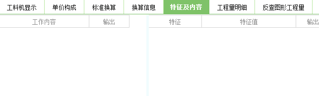 项目特征