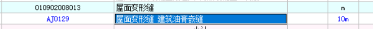 项目特征