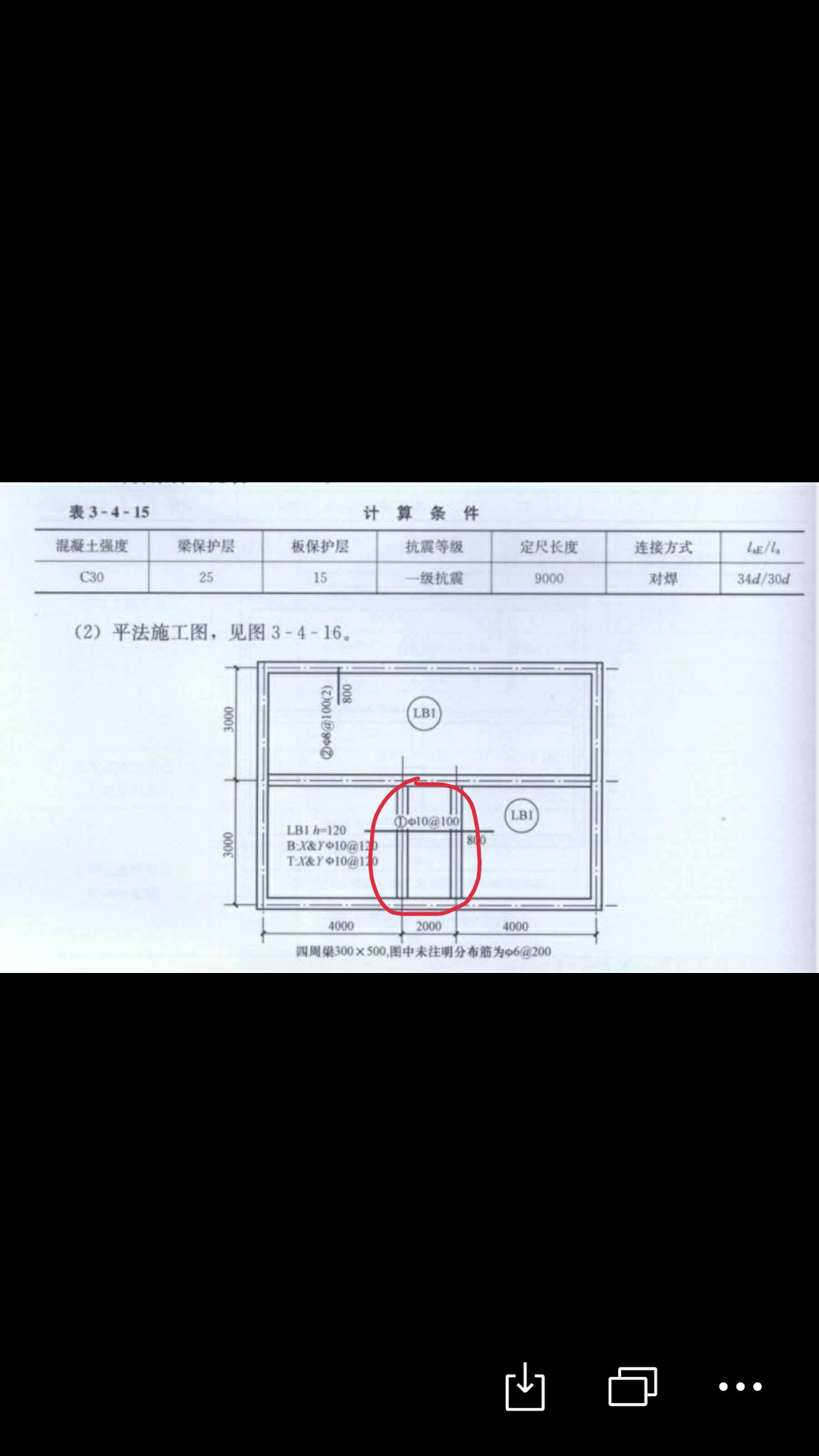 分布筋