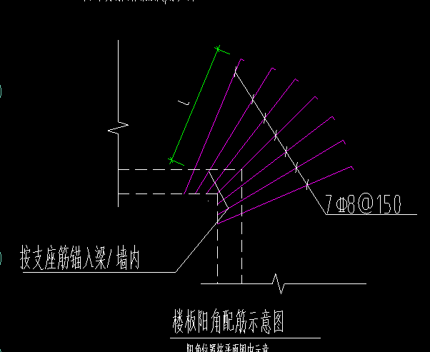 放射筋