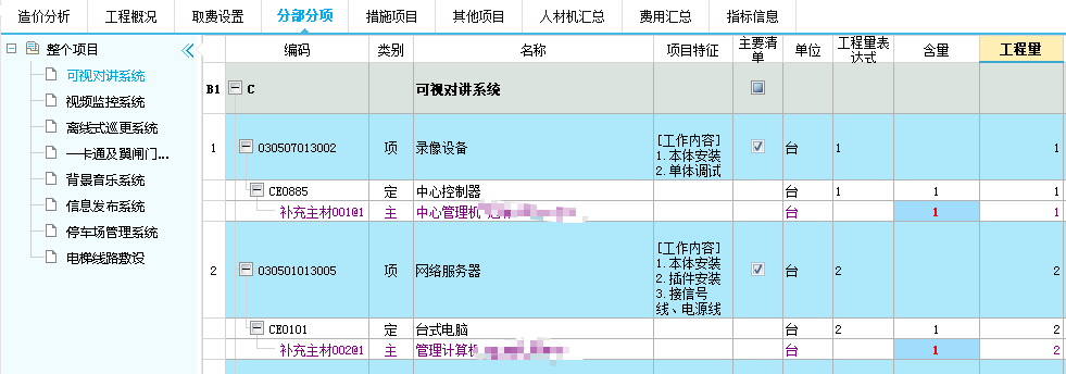 项目特征