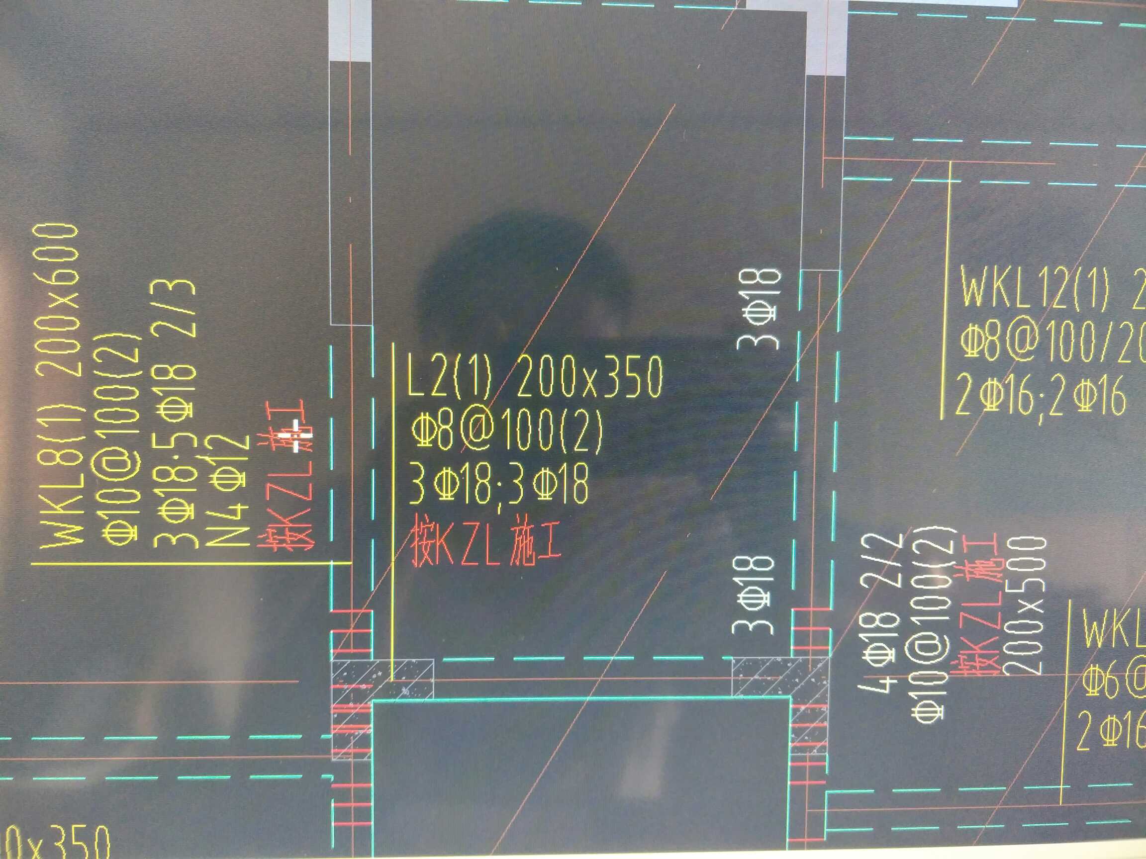 集中標注