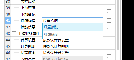 设置插筋