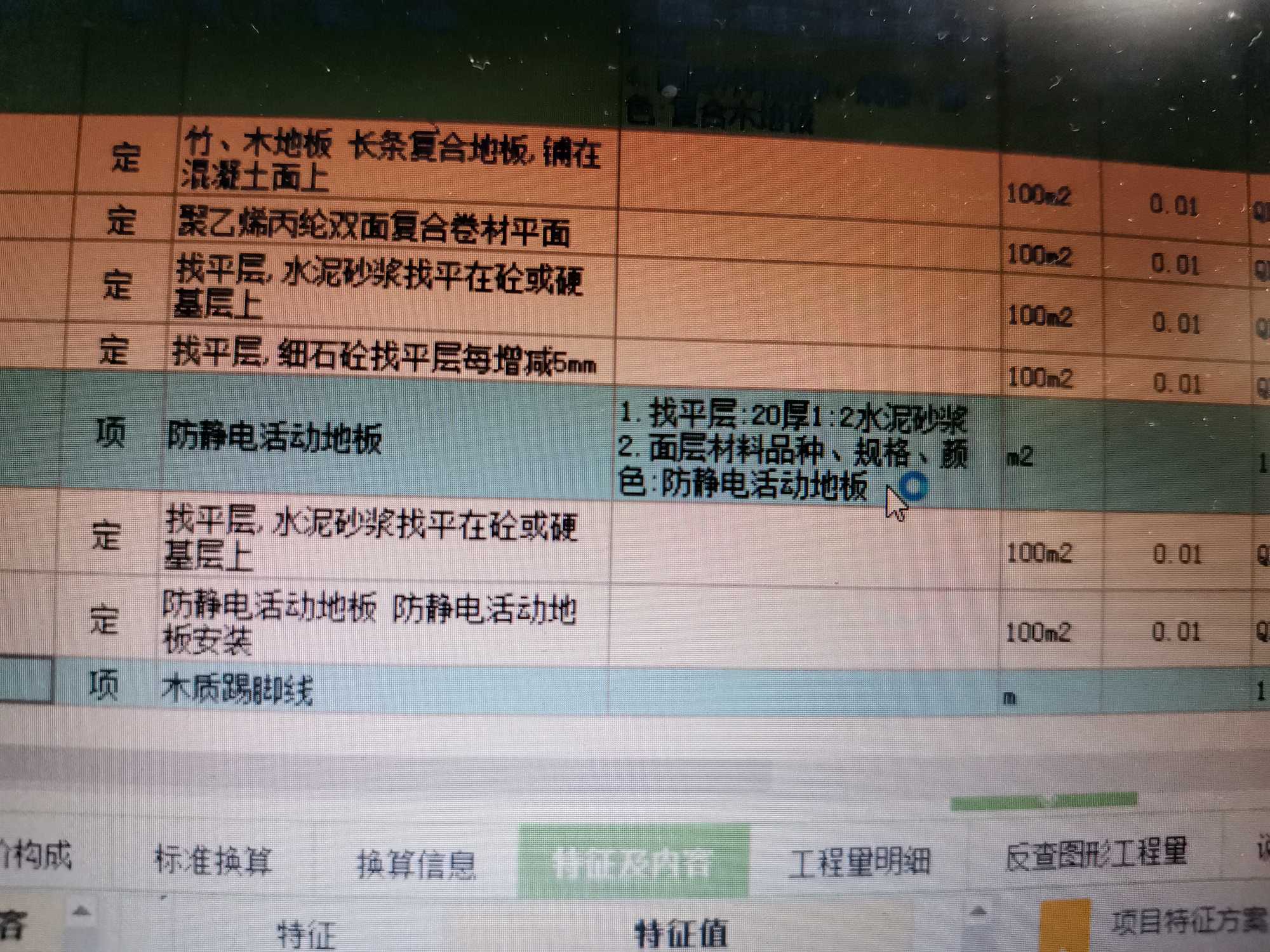 項目特征