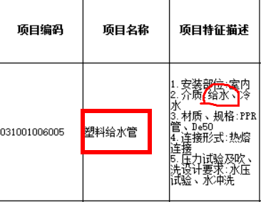 项目特征
