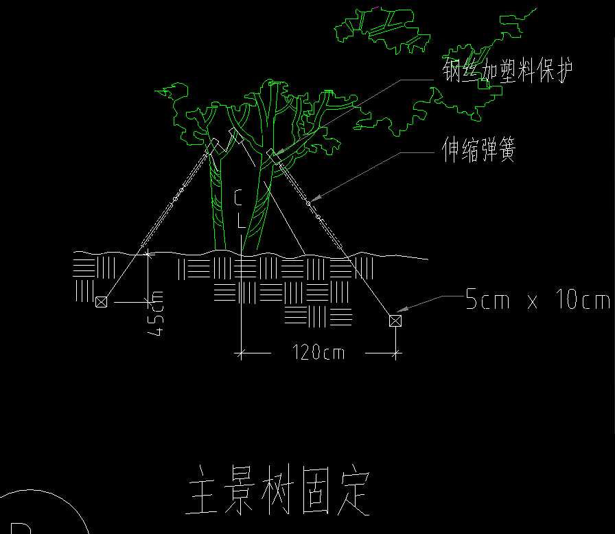 套子目