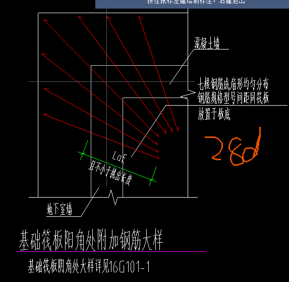 放射筋