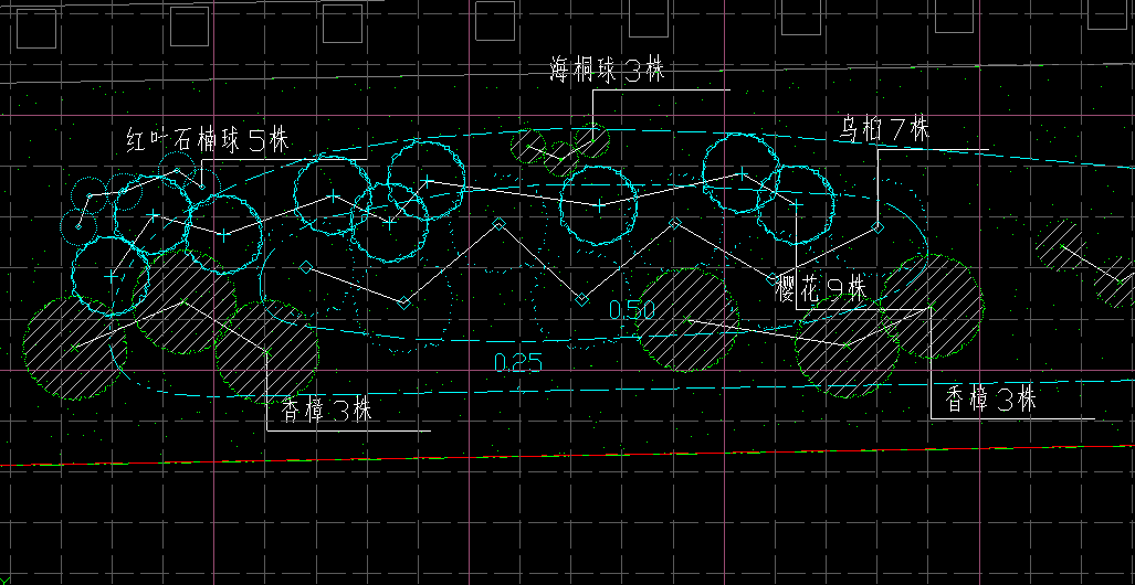 乔木