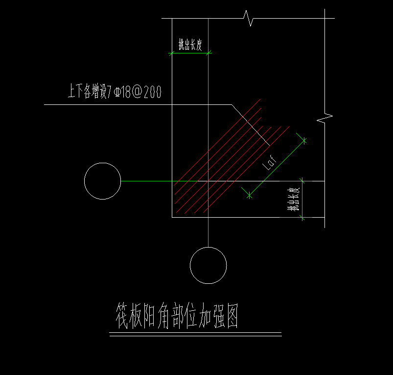 放射筋