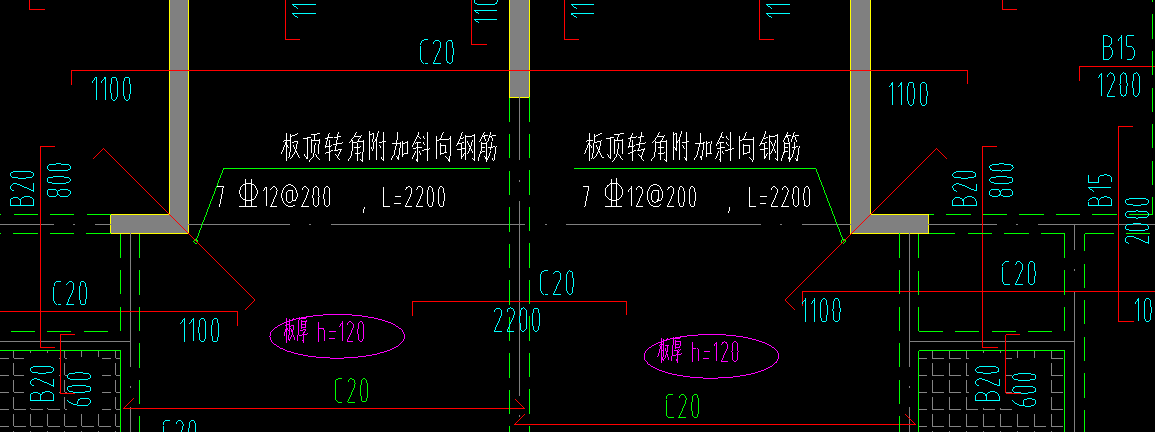 放射筋