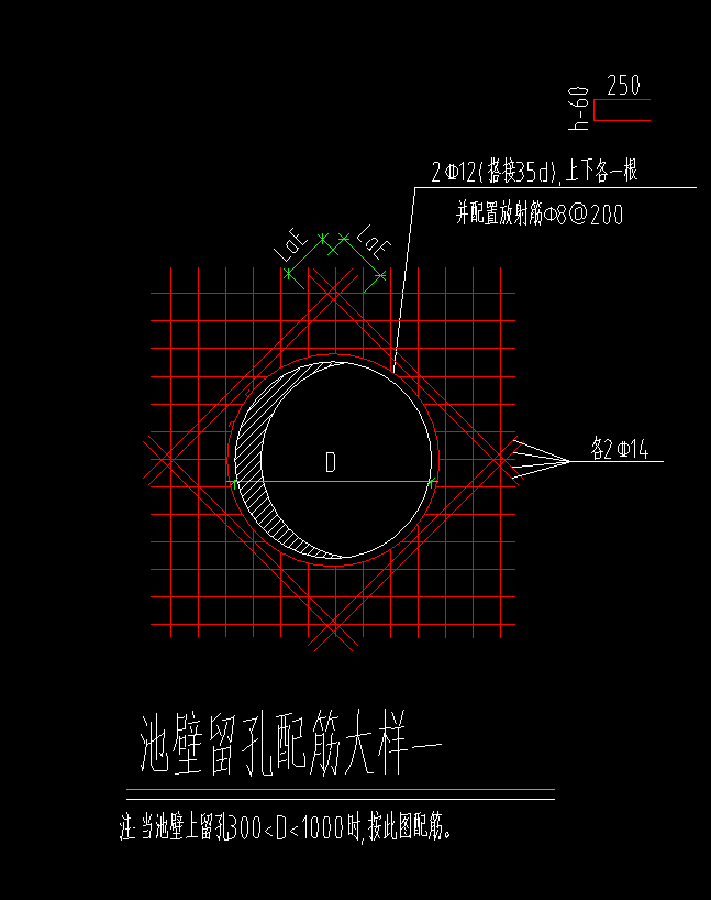 的放射筋