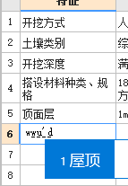 项目特征