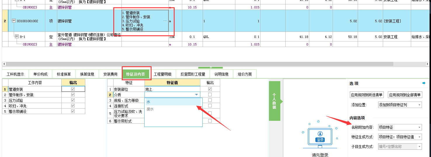 项目特征
