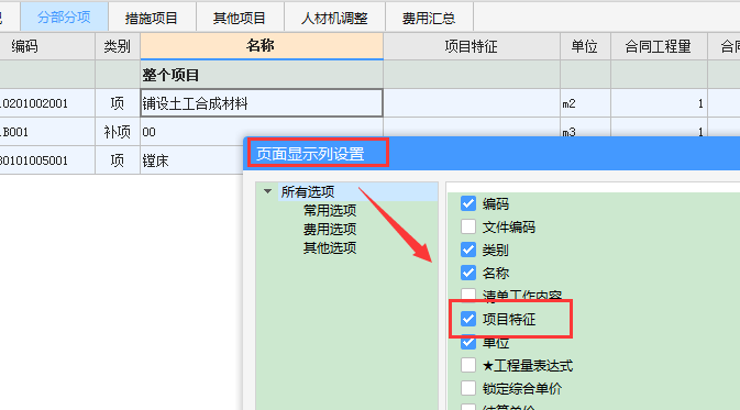项目特征