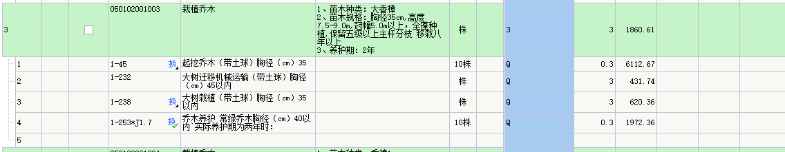 乔木