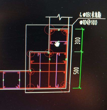 角筋