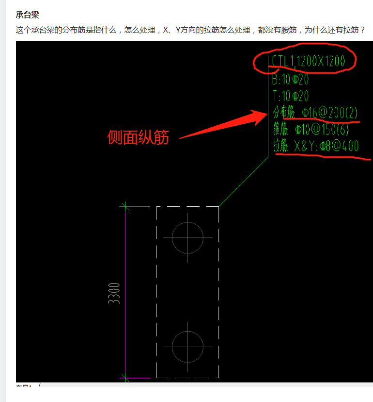 分布筋