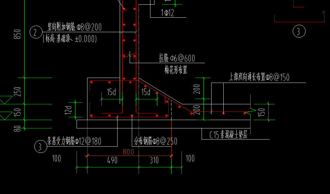 条基