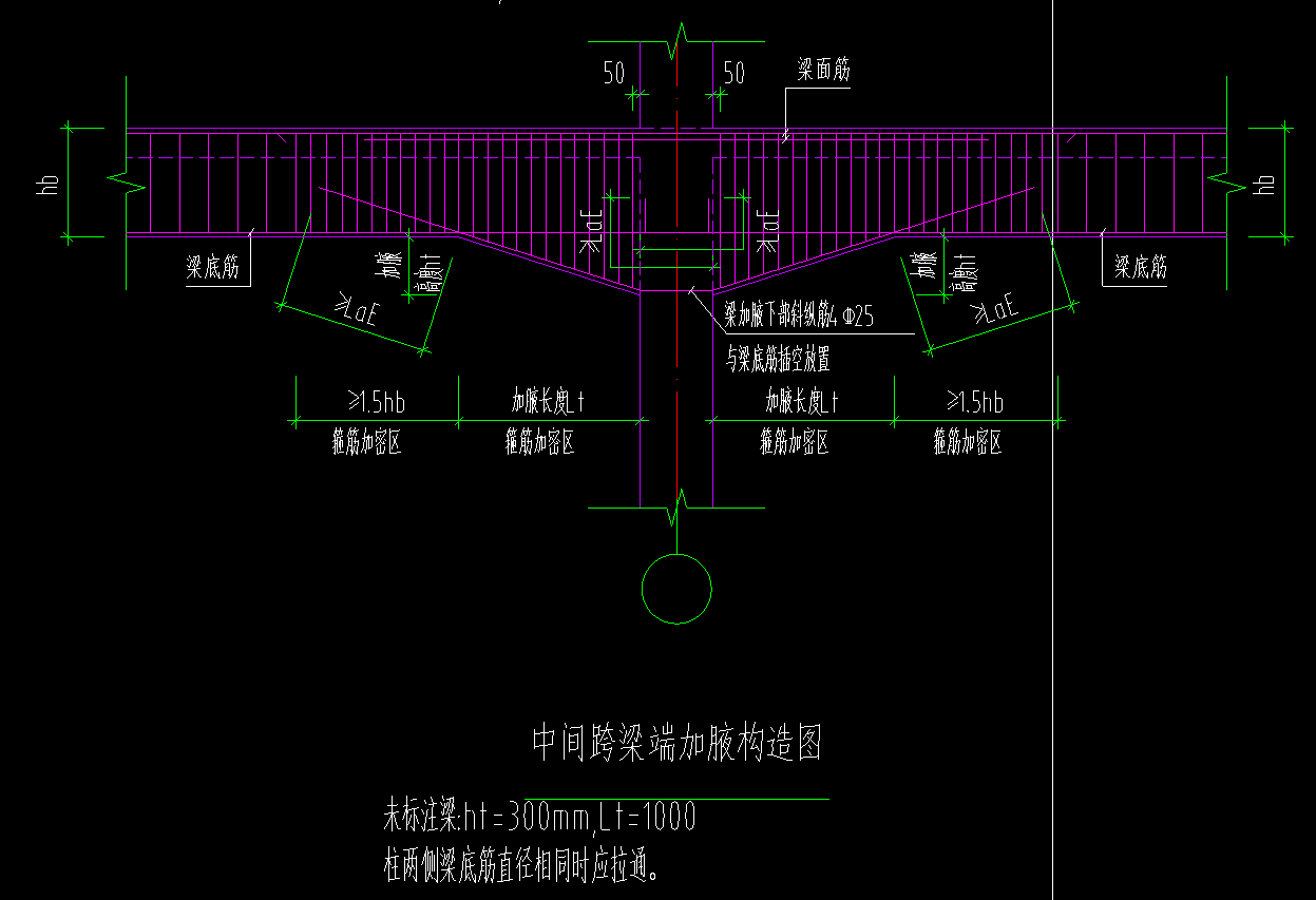 竖向加腋梁图片