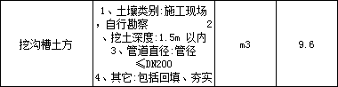 项目特征