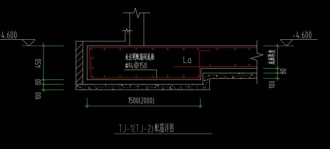 条基