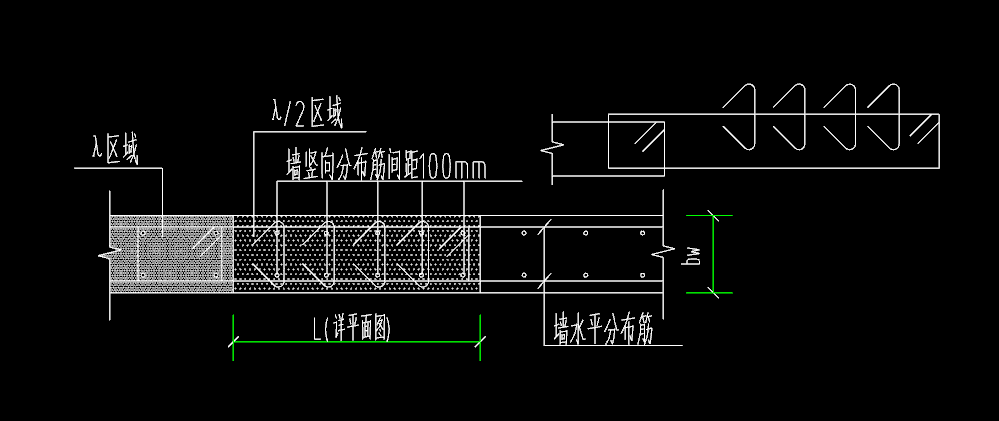 分布筋
