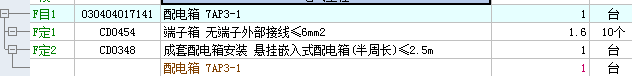 项目特征