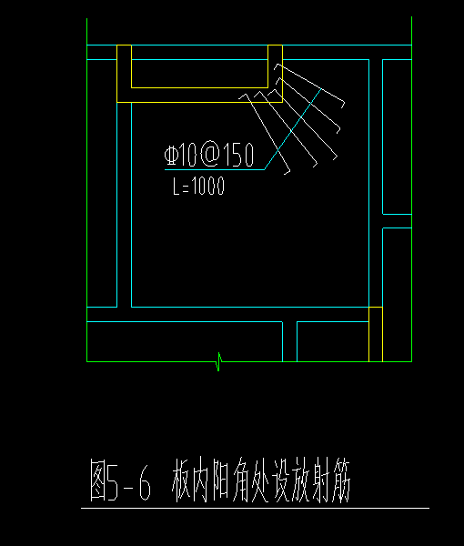 放射筋