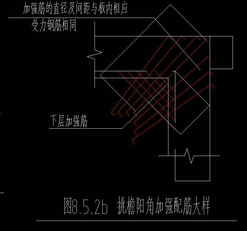 放射筋