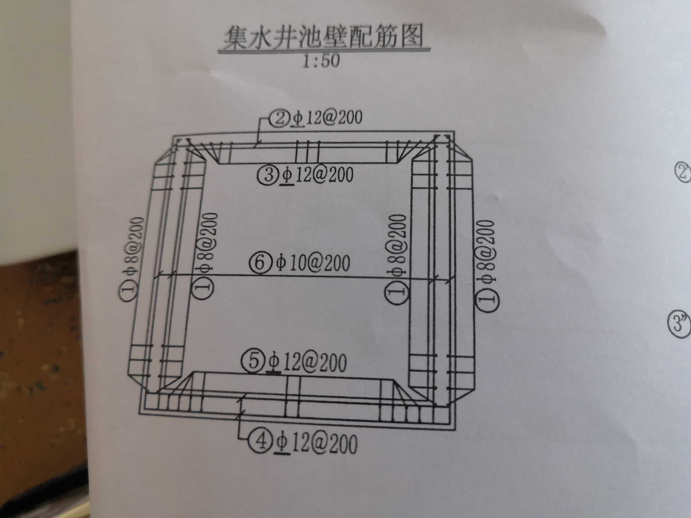 根數